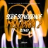 DJ Shadow ZN feat. MC Menor da Alvorada, MC FERA