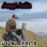 Anggi Aulia