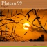 Plateau 99