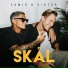 Samir & Viktor feat. Anis Don Demina