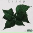 LilCaXaP