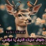 Kabir Himmi