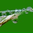 Tinnitus, Celtic Harp Soundscapes, Zen Meditate