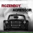 Rozenboy
