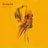 Amitay Lev