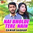 Zawar Saghar