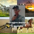 Edu Rocha
