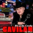 Ricardo Cerda El Gavilan