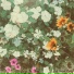 bloomtales