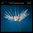 Ultraphonic
