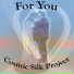 Cosmic Silk Project