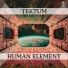 Tektum
