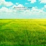 Landscape Sound