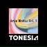 TONESIA