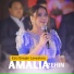 Amalia Zehin