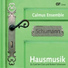 Hendrik Bräunlich, Calmus Ensemble