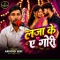 Arvind Giri