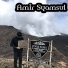 Amir Syamsul