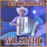 Wilsinho O Fera da Sanfona