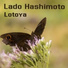 Lado Hashimoto