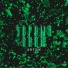 Antew feat. Ilya Bohs