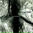 The VanishingLines