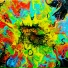 Acidkidd