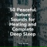 Meditação Yoga, Rain Spa, Musica Reiki