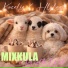 MIXKULA feat. Walla Wit