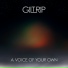 Gilt Rip