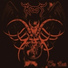Root