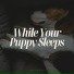 Official Pet Care Collection