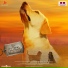 Arrol Corelli, Yuvan Shankar Raja, Andrea Jeremiah