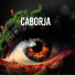 Caborja