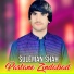 Suleman Shah Watan Dost