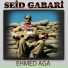 Seid Gabari