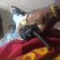 Mc Neguin vitorioso