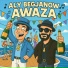 Aly Begjanow