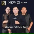 NEW ZI BAND