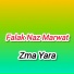 Falak Naz Marwat
