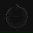 Sylosis