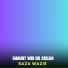 Raza Wazir