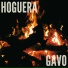 Gavo