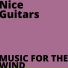 Nice Guitars