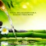 Symphony Orchestra Anti-Stress Sound