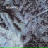 mauv