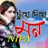 Nipa