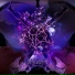 Darin Epsilon