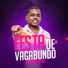 Mc Diguinho