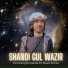 Shandi Gul Wazir
